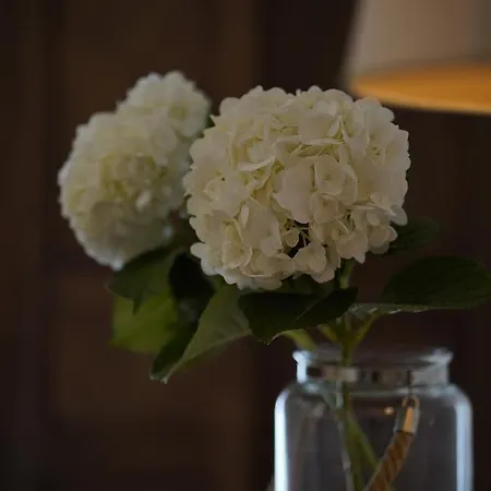 Bivona Bed & Breakfast