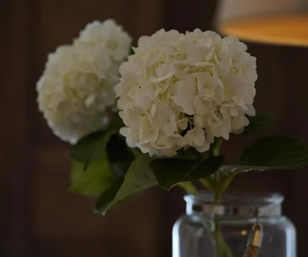 Bivona Bed & Breakfast